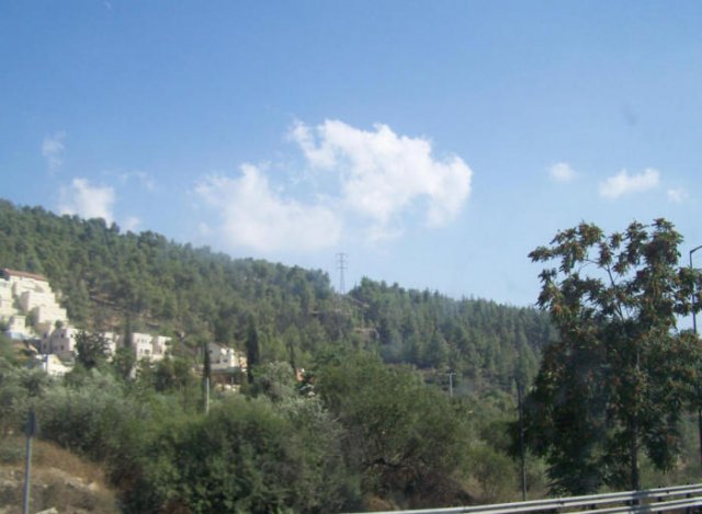 صُوَر من القدس