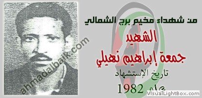 صُوَر شهداء المخيم