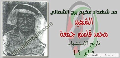 صُوَر شهداء المخيم